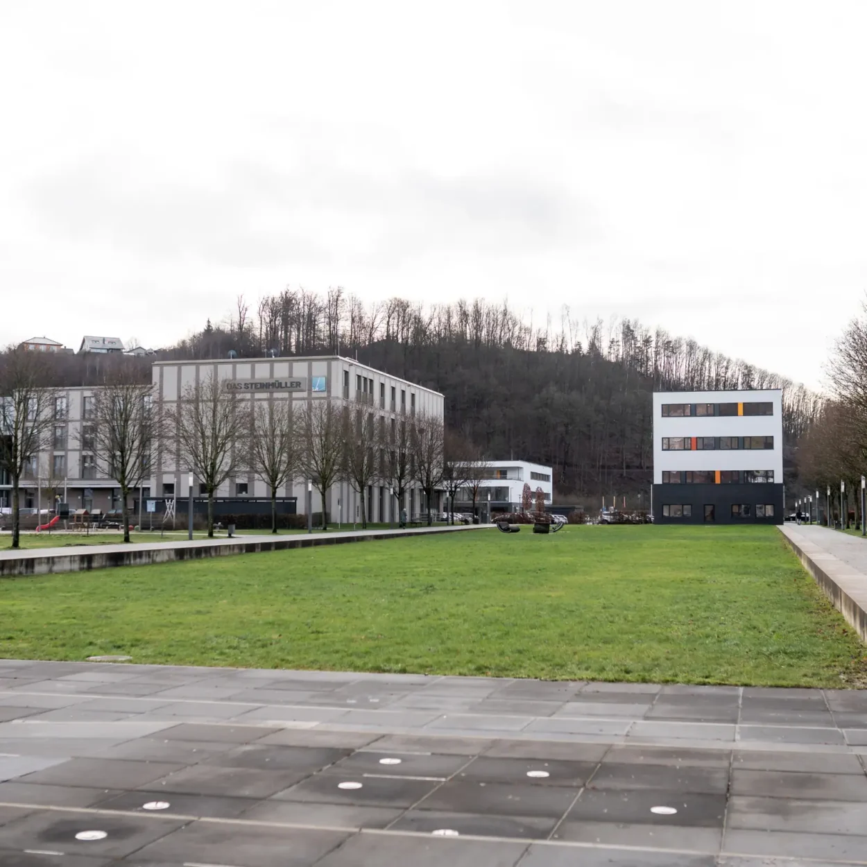 Steinmüllergelände in Gummersbach mit modernen Bürogebäuden, großer Grünfläche und kahlen Bäumen, im Hintergrund eine bewaldete Anhöhe.