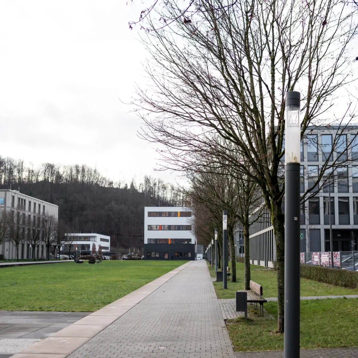 Steinmüllergelände in Gummersbach mit moderner Architektur, Bäumen entlang eines gepflasterten Gehwegs und Grünflächen im Vordergrund.